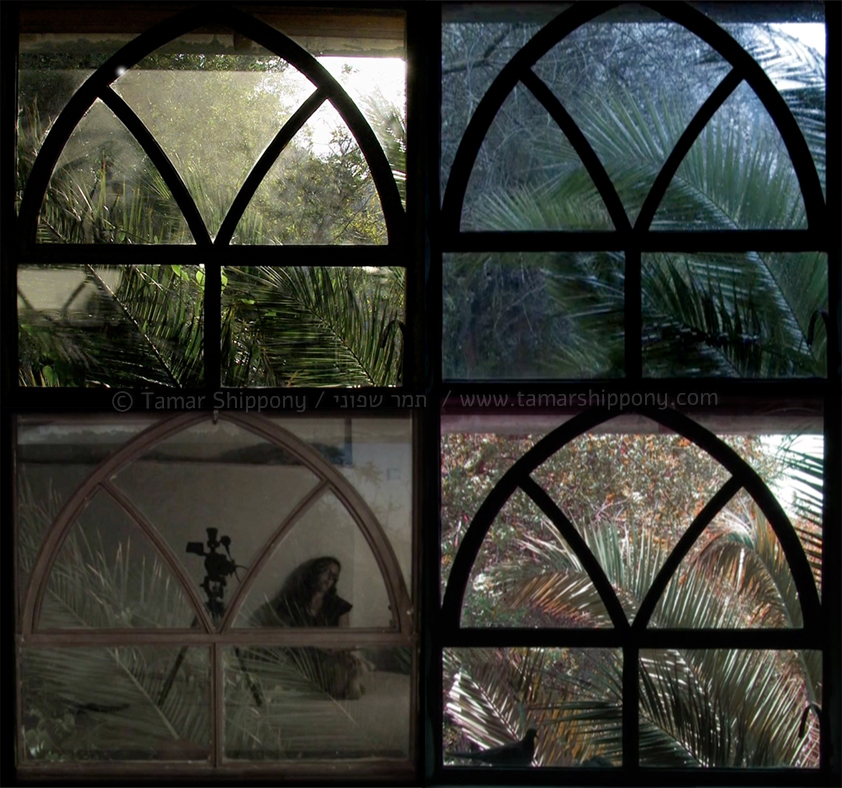 Studio Window Video Art by Tamar Shippony | החלון בסטודיו - וידאו ארט של תמר שפוני