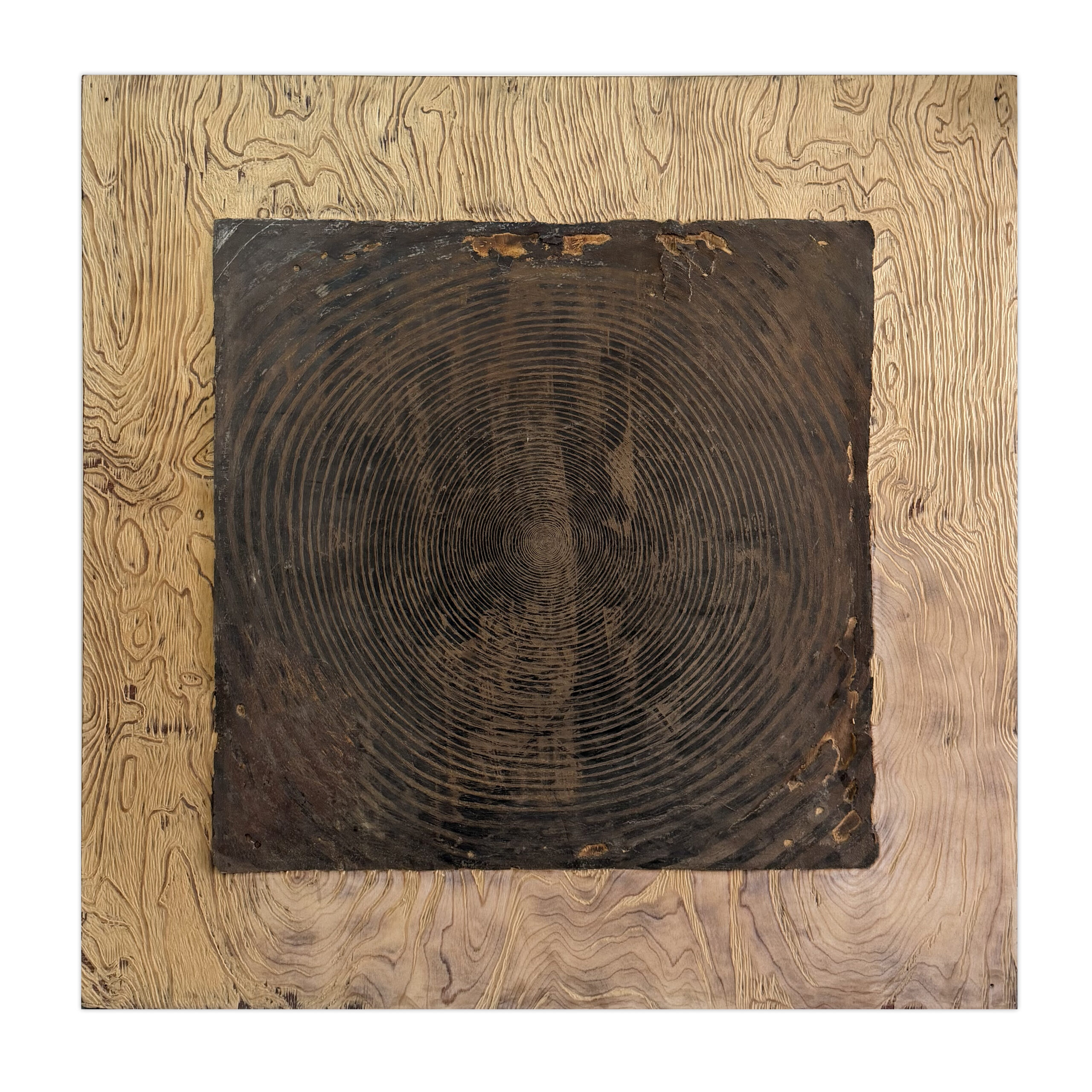 Alma - Metal Plate Sculpture by Tamar Shippony | עלמא - פסל מתכת של תמר שפוני